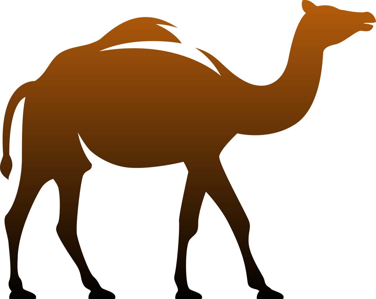 camel icon